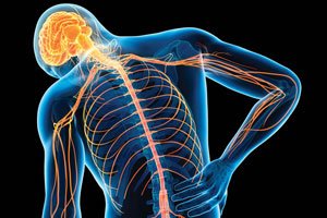 How does CBD Oil help to ease Chronic Pain?