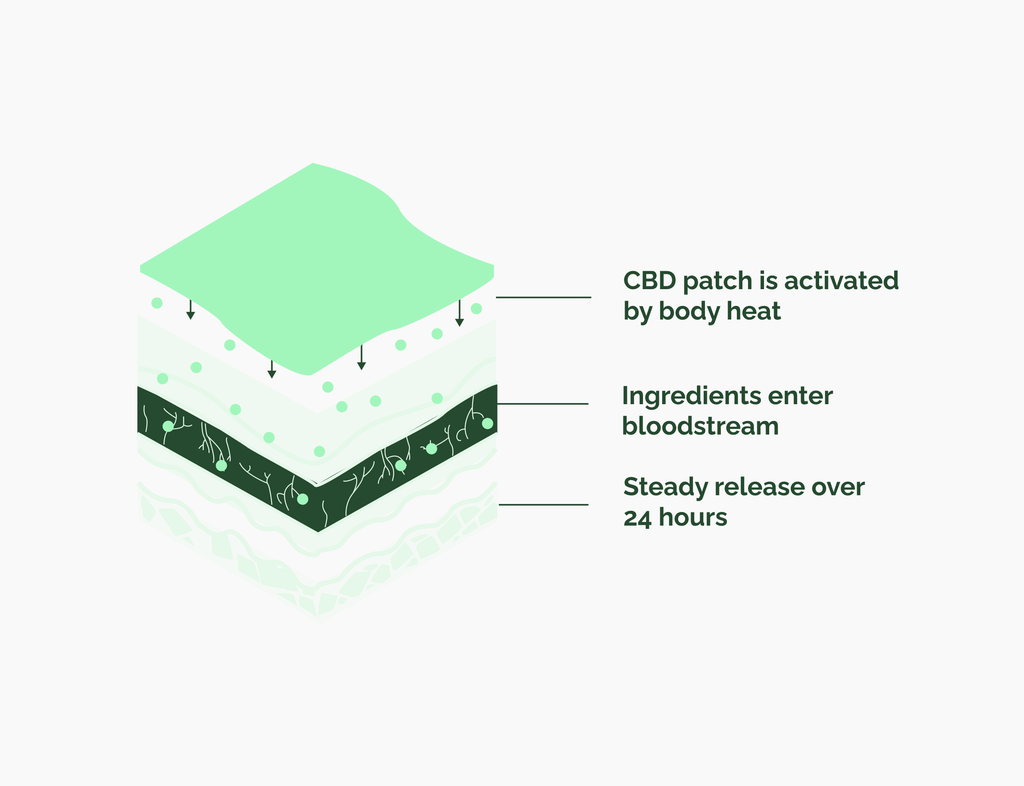 Cannacares patches 30mg patch + 50ml CBD and Magnesium Cream
